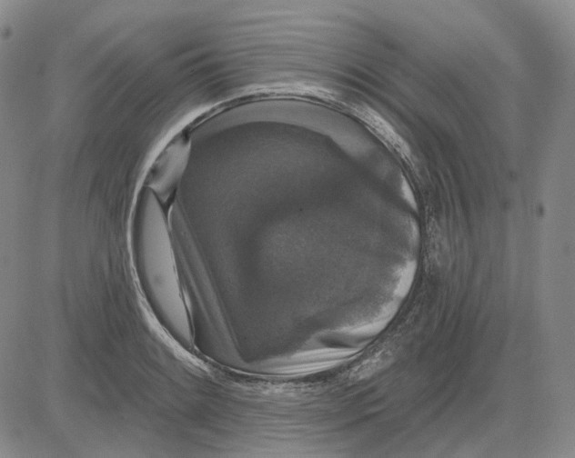 X0000083651084200703051720