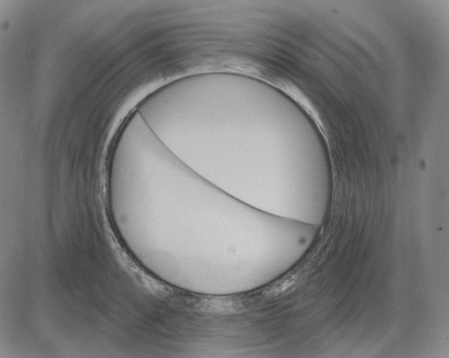 X0000083651088200703051720