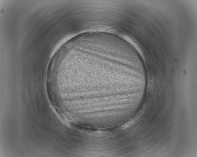 X0000083651093200703051720