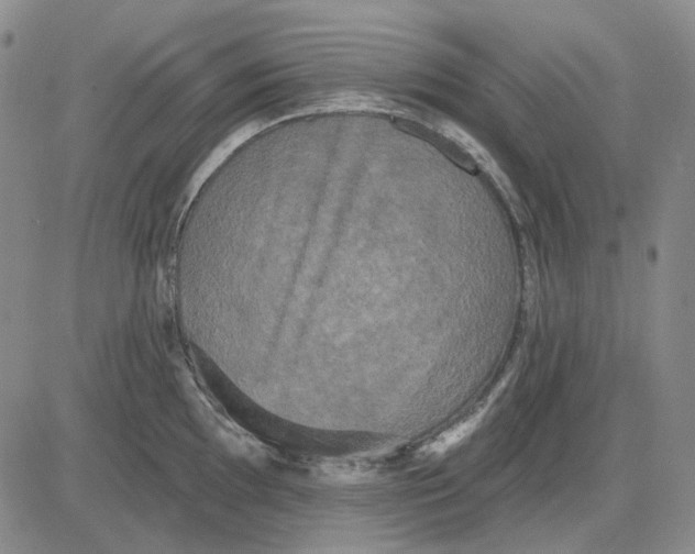 X0000083651097200703051720