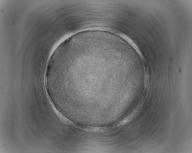 X0000083651101200703051720