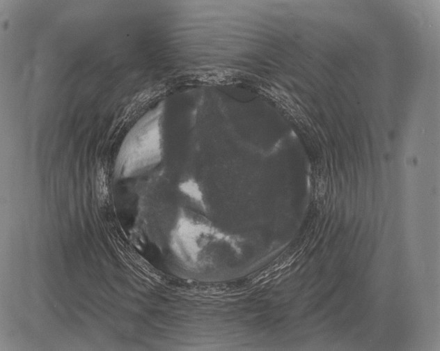 X0000083651106200703051719