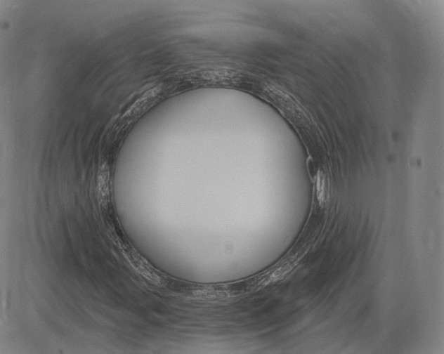 X0000083651107200703051719