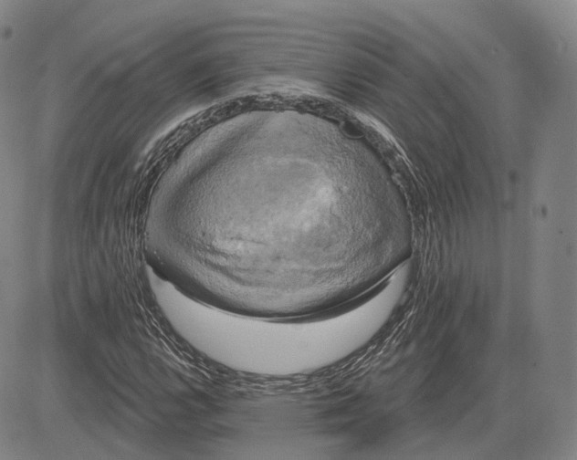 X0000083651112200703051719