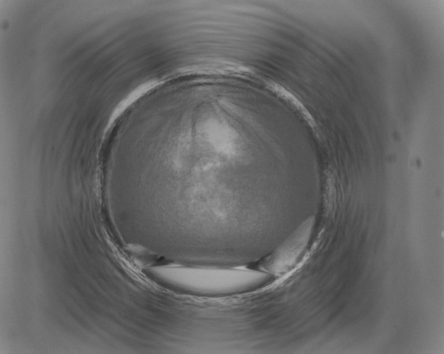X0000083651114200703051719