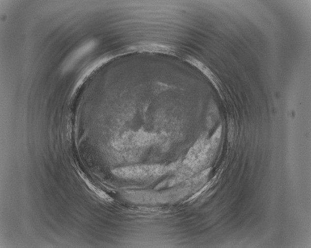 X0000083651115200703051719