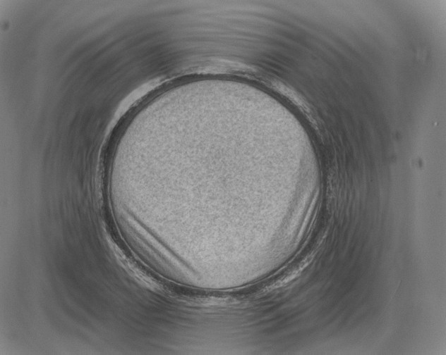 X0000083651122200703051719