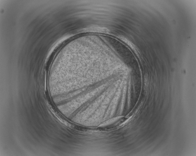 X0000083651123200703051719