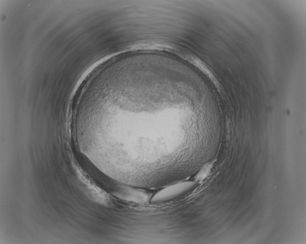 X0000083651124200703051719