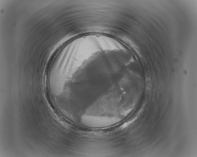 X0000083651125200703051719