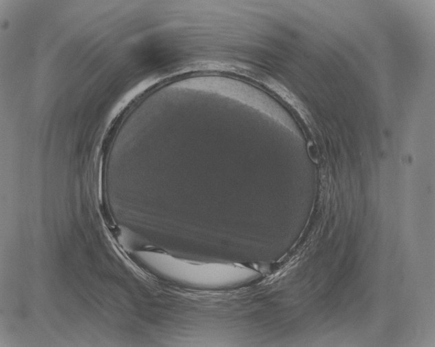 X0000083651127200703051719