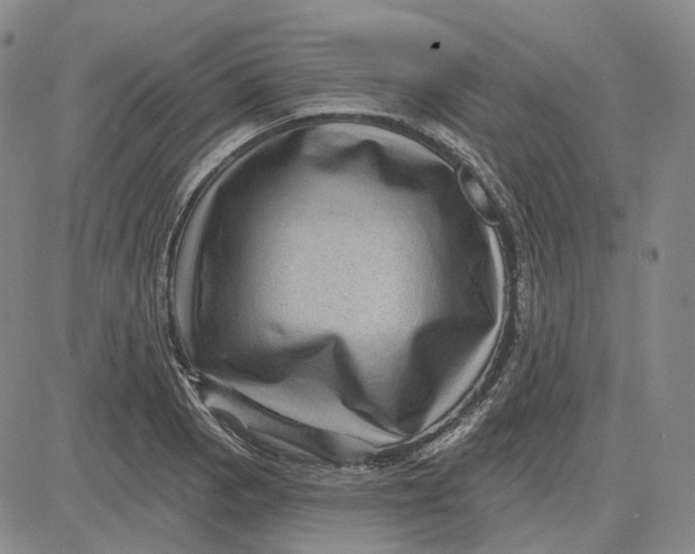 X0000083651129200703051719