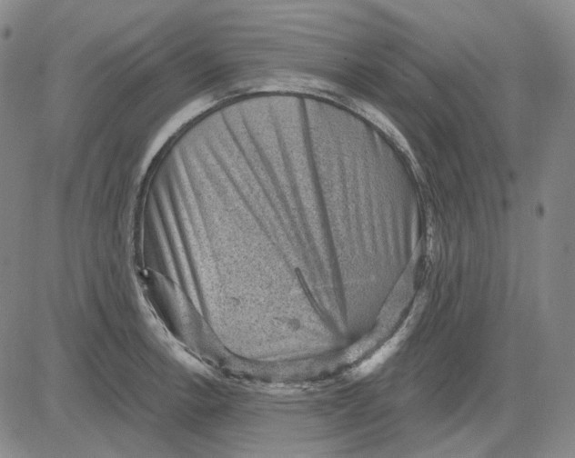 X0000083651138200703051719