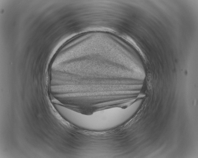 X0000083651140200703051719