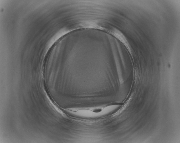 X0000083651141200703051719