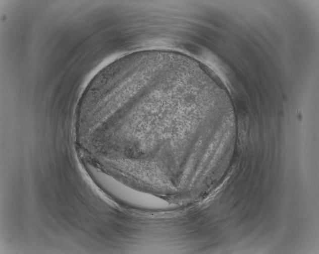 X0000083651142200703051719