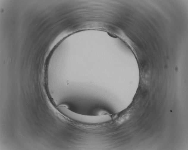 X0000083651147200703051720