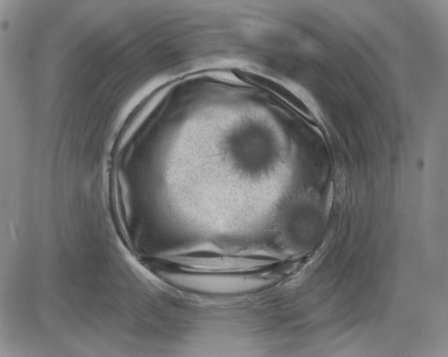 X0000083651151200703051720