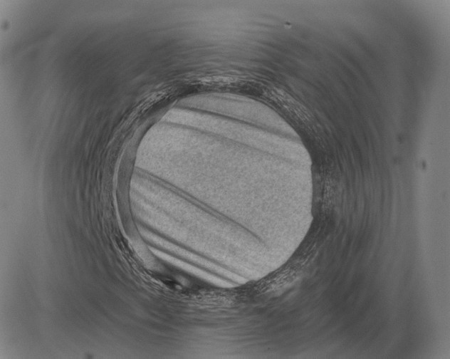 X0000083651153200703051719