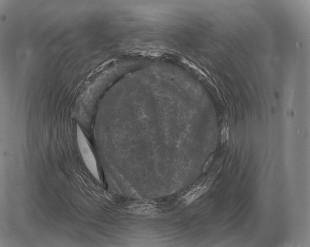 X0000083651156200703051719