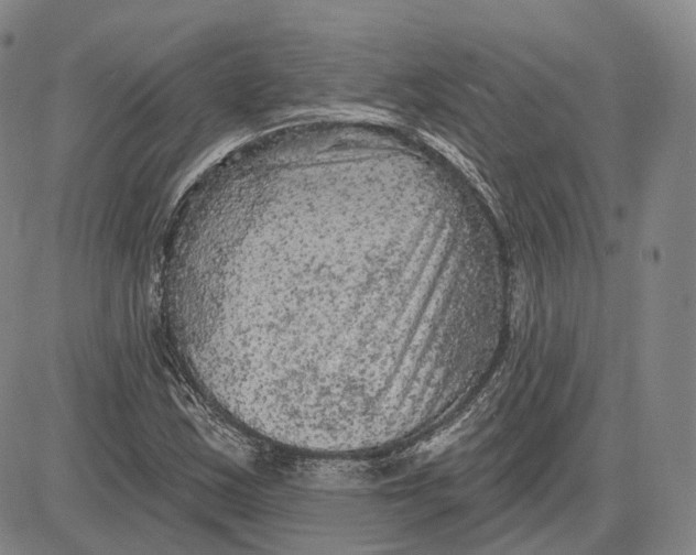 X0000083651163200703051719