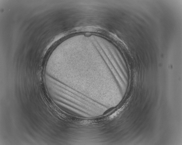 X0000083651166200703051719