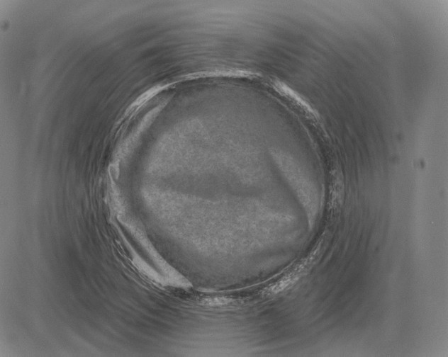 X0000083651169200703051719