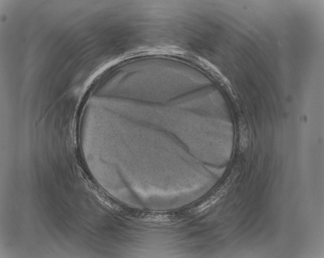 X0000083651174200703051718