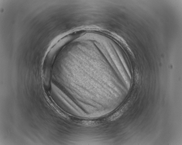 X0000083651176200703051718