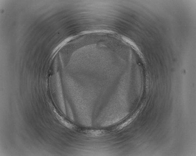 X0000083651177200703051718
