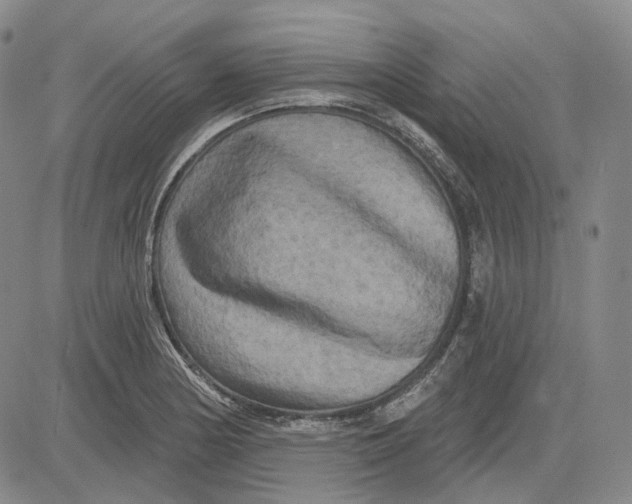 X0000083651178200703051718