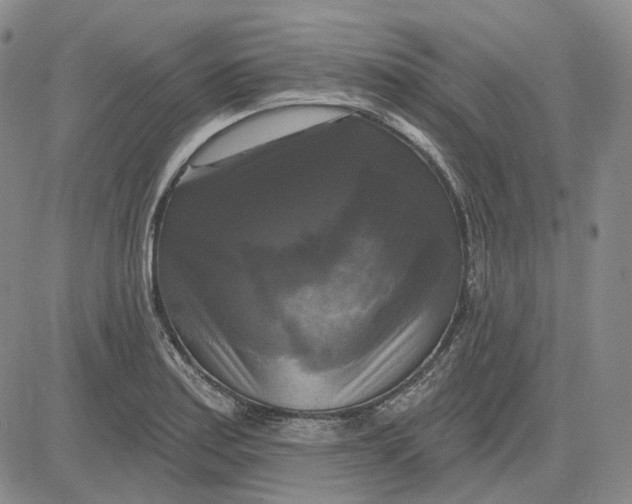 X0000083651179200703051718