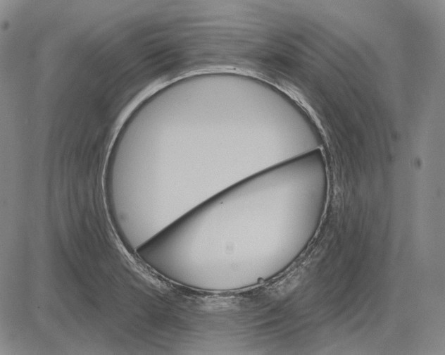 X0000083651181200703051718