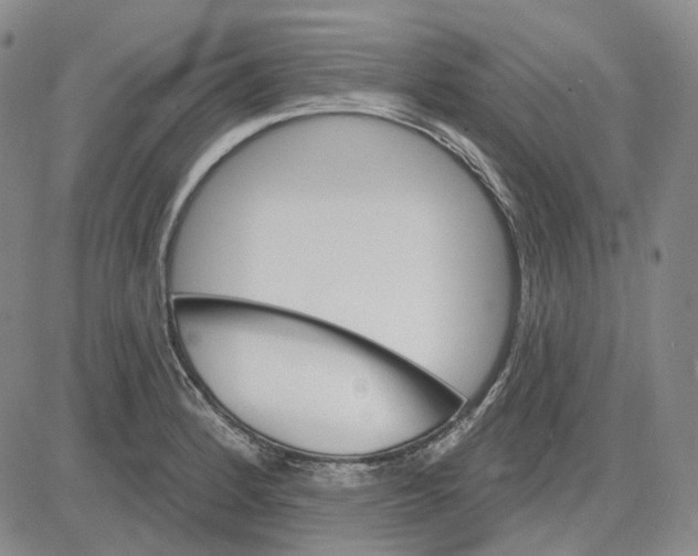X0000083651184200703051718