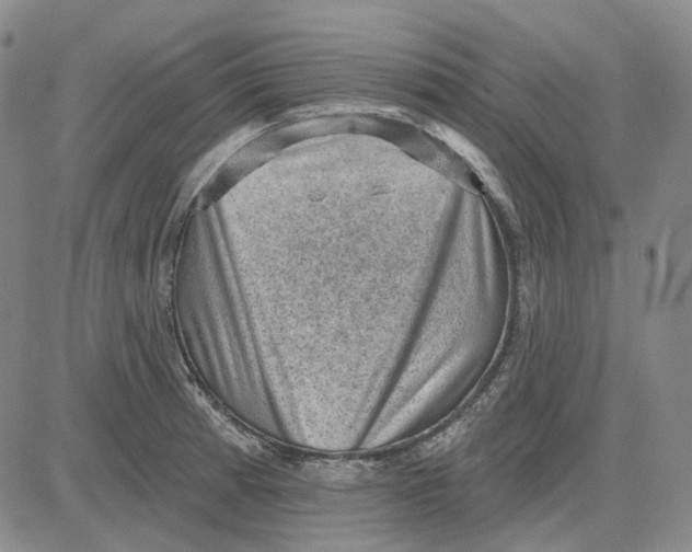X0000083651185200703051718