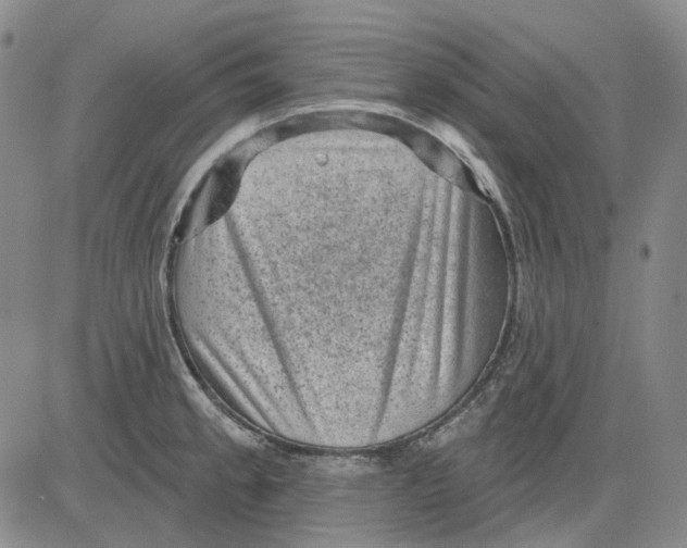 X0000083651189200703051718