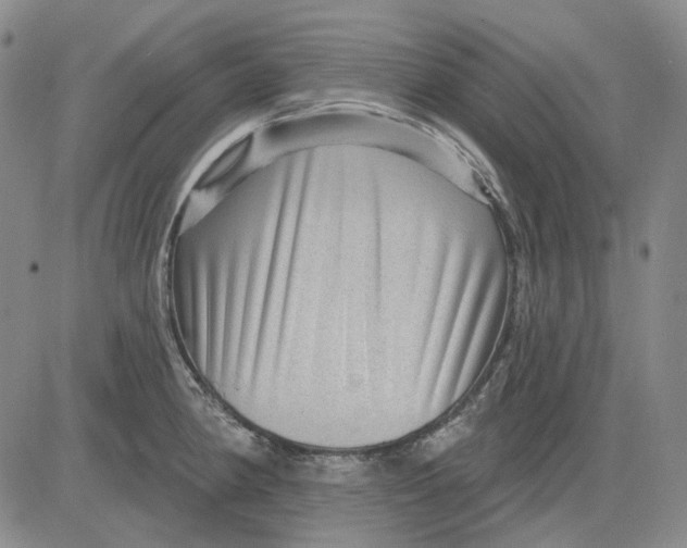 X0000083651190200703051718