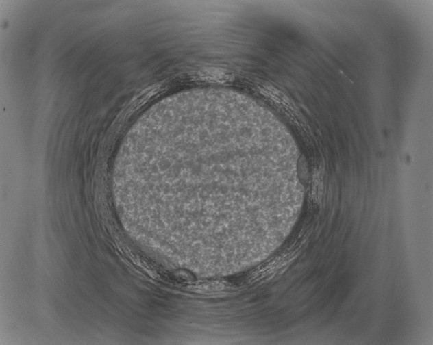 X0000083651201200703051717