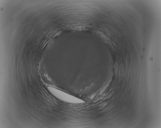 X0000083651202200703051717