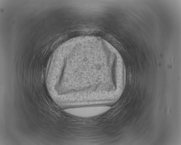 X0000083651204200703051717