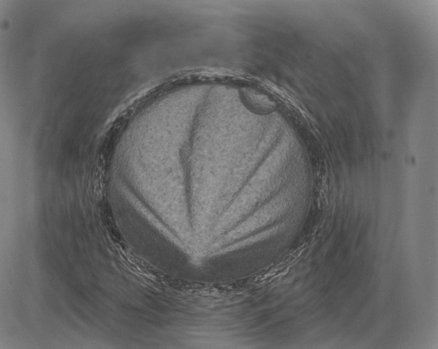 X0000083651207200703051717