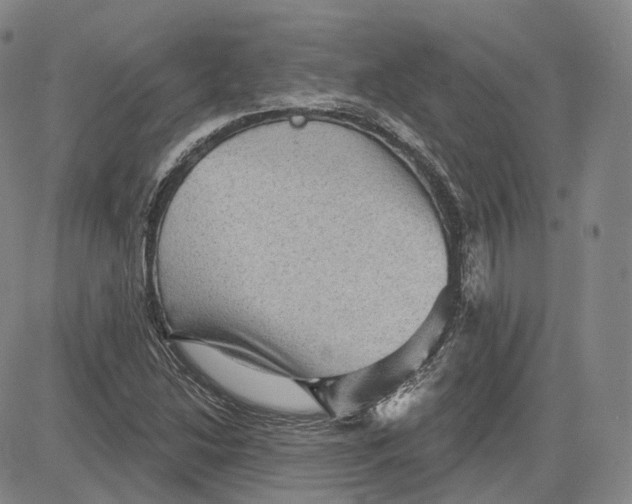 X0000083651214200703051717