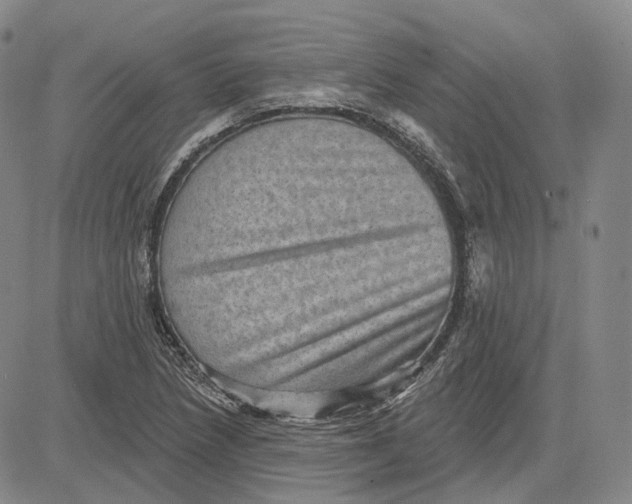 X0000083651218200703051718