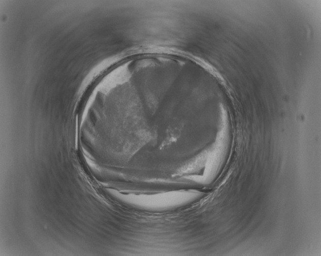 X0000083651223200703051718