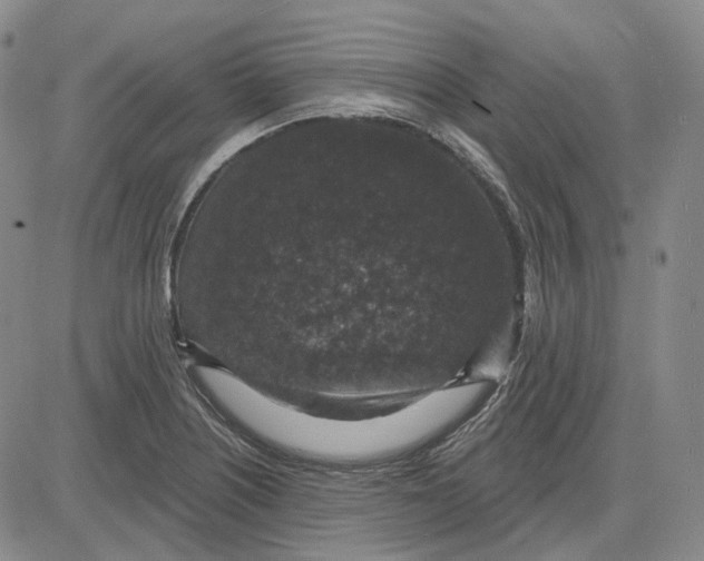 X0000083651226200703051718