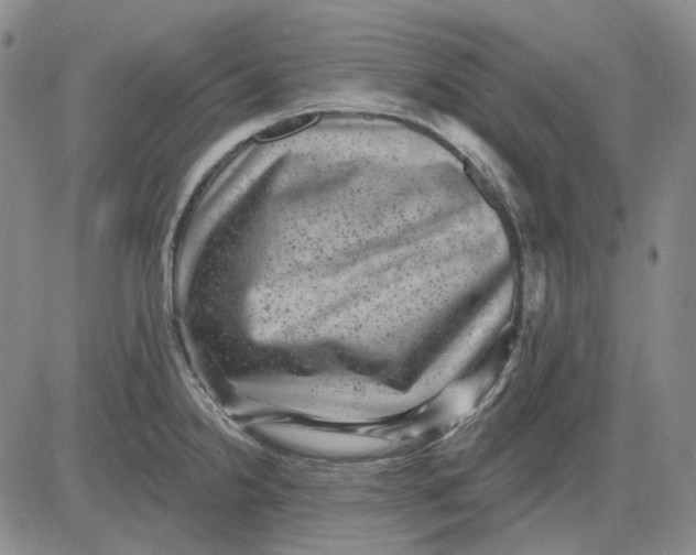 X0000083651238200703051718