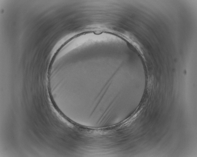 X0000083651239200703051718
