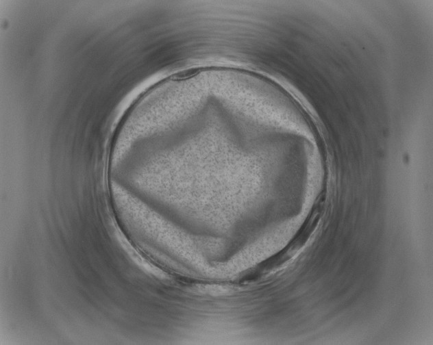 X0000083651246200703051718