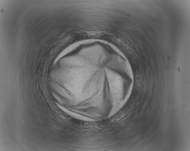 X0000083651249200703051717