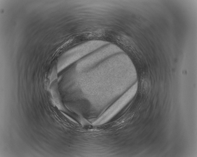 X0000083651250200703051717
